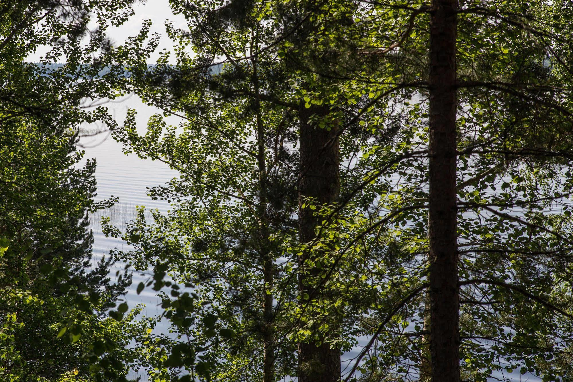 Hotel Kruunupuisto Punkaharju Exteriör bild